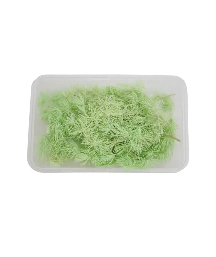 Eco Garnish Аспарагус 300 мл. (зеленый)