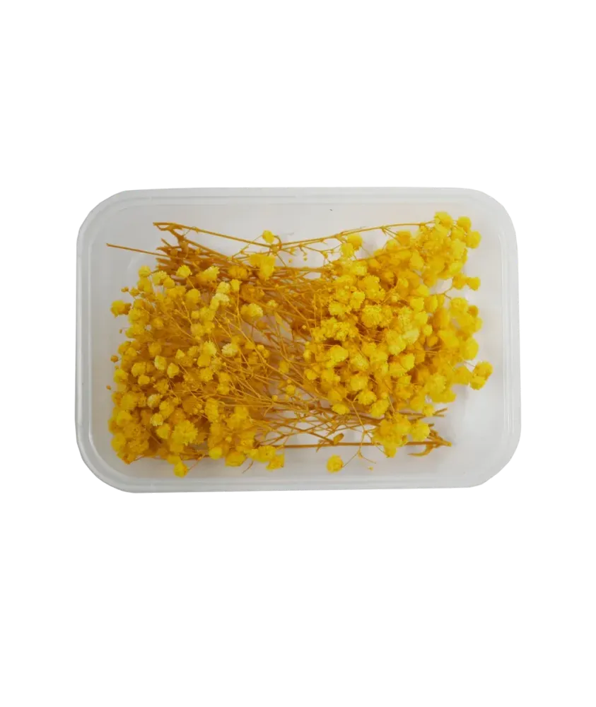 Eco Garnish Гипсофила 300 мл. (желтый)